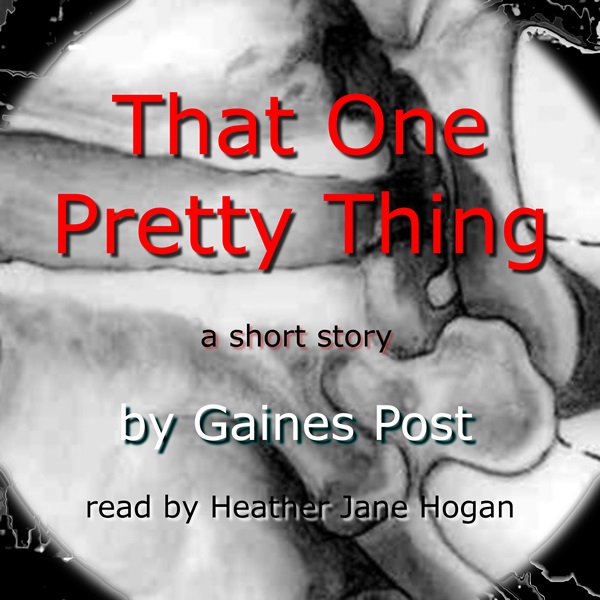 That One Pretty Thing by Gaines Post